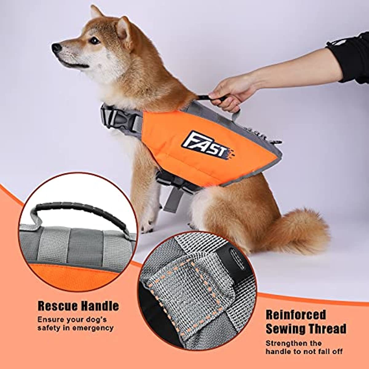 Safepaws Safety Vest for Dogs